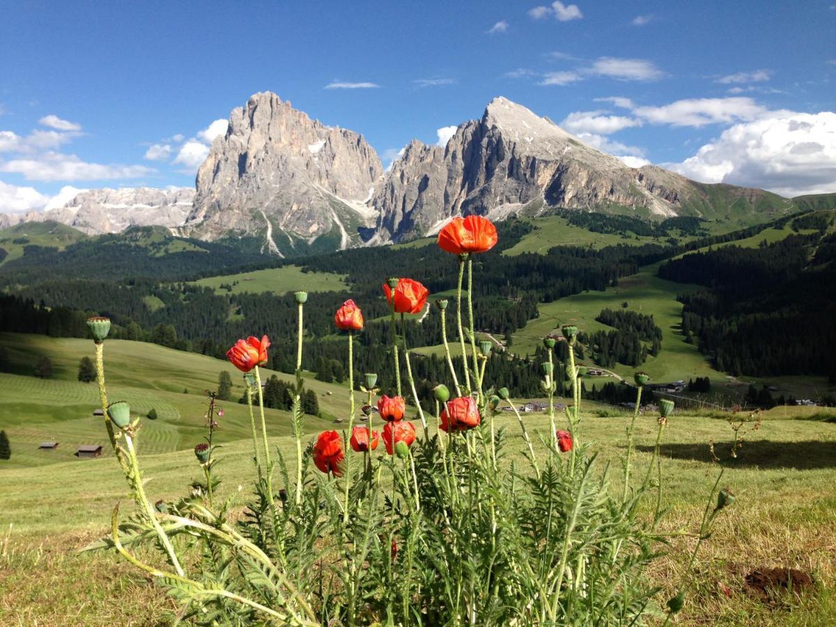 Binterhof Alpin Deluxe App Villa Castelrotto Luaran gambar