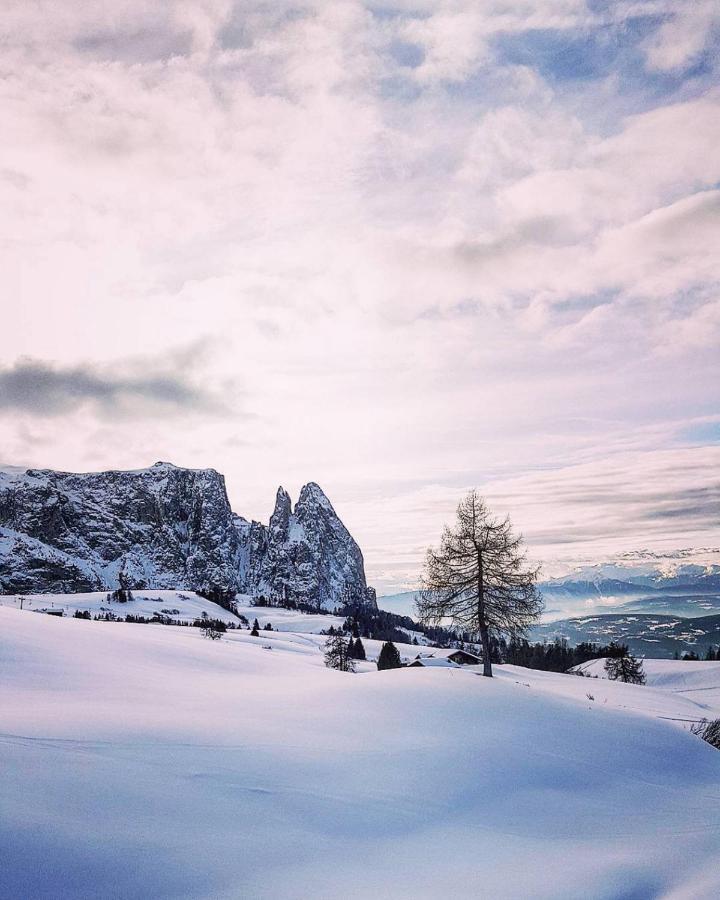 Binterhof Alpin Deluxe App Villa Castelrotto Luaran gambar