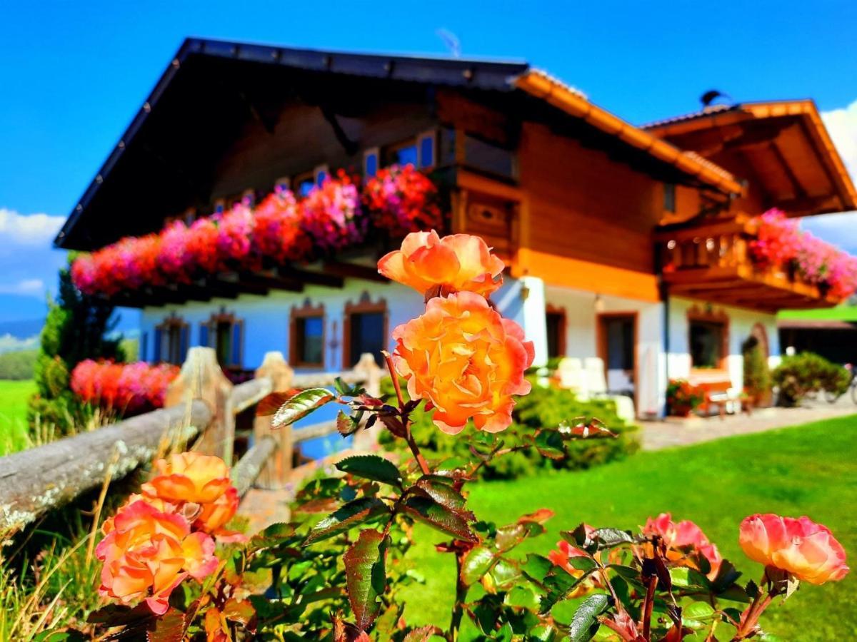 Binterhof Alpin Deluxe App Villa Castelrotto Luaran gambar